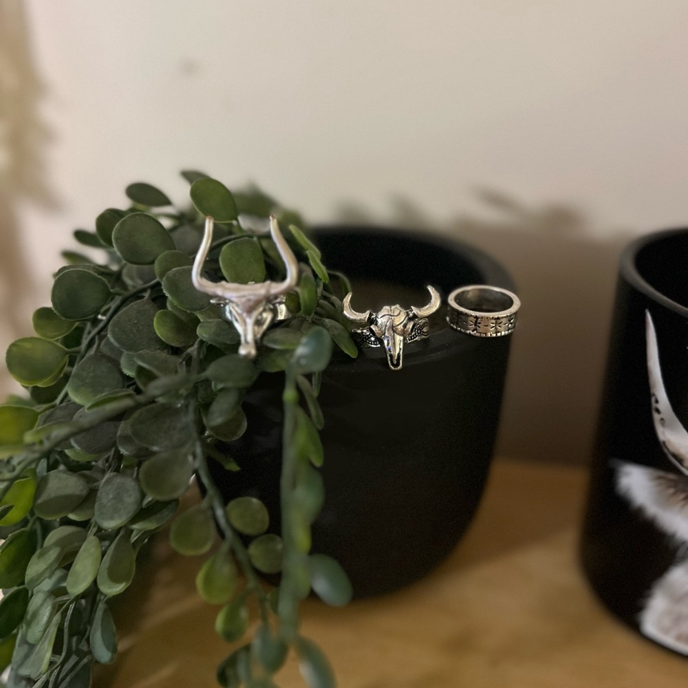 Set of Rings